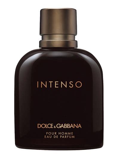 precio del intenso dolce gabbana|dolce and gabbana oceania.